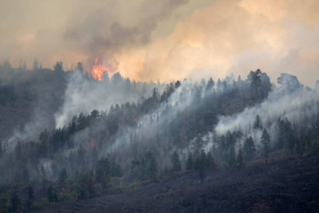 জ্বলন্ত ভারত